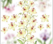 carta decoupage con orchidea gialla