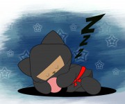 gato12