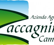 logo_zaccagnini