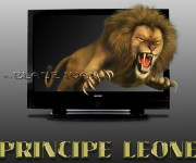 leone-principe