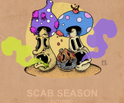 Scab Season [for lifeform.co]