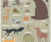 Animali del bosco
