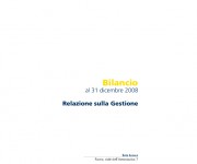 ACEA-Bilancio-2008-Relazione-Gestione-84-Bassa