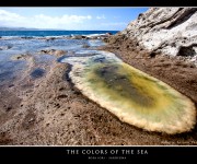 The color of the sea sardegna