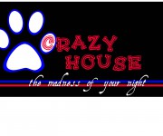 Crazy_House_1