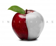 Integritas