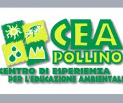 Cea Pollino