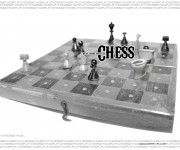 Chess_copia-1