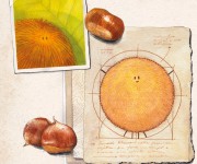Maud Faverjon _ Romir il boscobolo 8