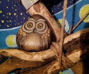 Owl02