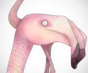 endless-flamingos_2437