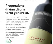 Campagna vino - Agenzia DCM Associati