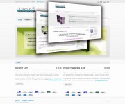 sito web dinamico