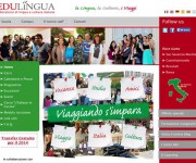 1401178985_edulingua