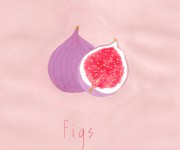 D_04.Figs