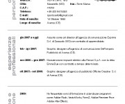 Curriculum Vitae