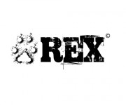Fiction Rex IV