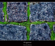Prigione-cornbN