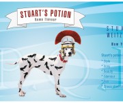Stuart's potion - Roma flavour