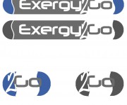 exergy-2-go-piu-ico-present