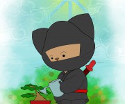 gato5