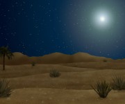 Desert amb estrella