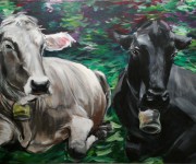 Due mucche per un divano