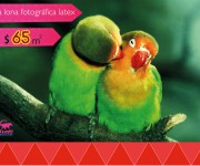 Propuestas Febrero 01