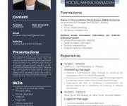 Checchia Vincenzo CV