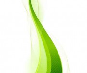 greeen