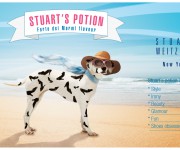 Stuart's potion - Forte de Marmi flavour