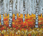 Incanto d'autunno - Sottobosco di betulle