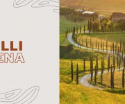 Colli Siena marketing strategy