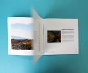 Brochure ValVibrata (interno)