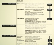 Curriculum Vitae