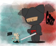 gato17