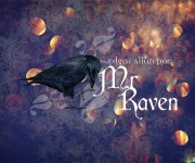 mr_raven
