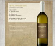 Packaging / etichetta vino