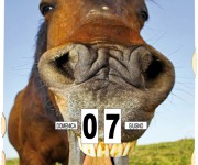 calendariperpetui.it