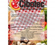 brochure cibotec 01 (2)