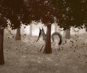 little wolf