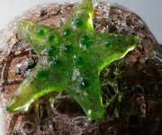 Vetrofusione - stella marina su roccia con effetto cracklè - vetro byllseye e pietra