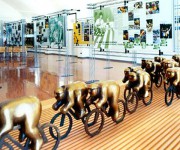 Museo dei Campionissimi - Novi Ligure