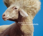 bozzetto