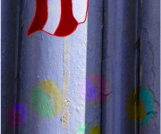 Circo