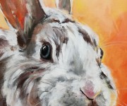Rabbit portrait - Orange lights mood