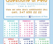 Calendario Toelettatura - Questione di Pelo