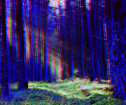 Natural Absorption Carnival (Dark Forest): Forest n°1