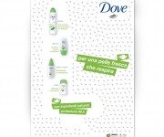 Dove (Dove Go Fresh)