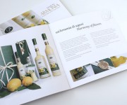 Donna Frida | brochure Lemon Armonia